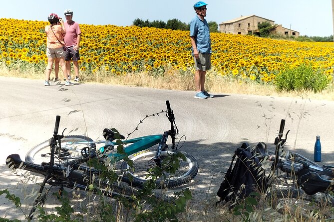 Luxury Eno and Oil Experience, by E-Bike and More... - What Is the Luxury Eno and Oil Experience?