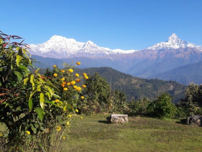 Luxury Excursion: Chitwan and Pokhara - The Sum Up