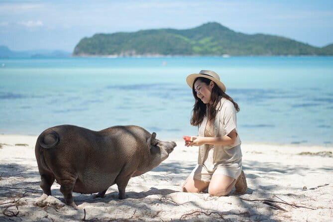 Luxury Floating Bar and Snorkeling at Koh Madsum - Pickup & Departure  