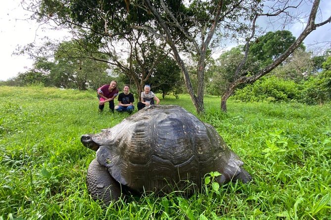Luxury Galapagos Adventure: Snorkel With Giants - Accommodation Options