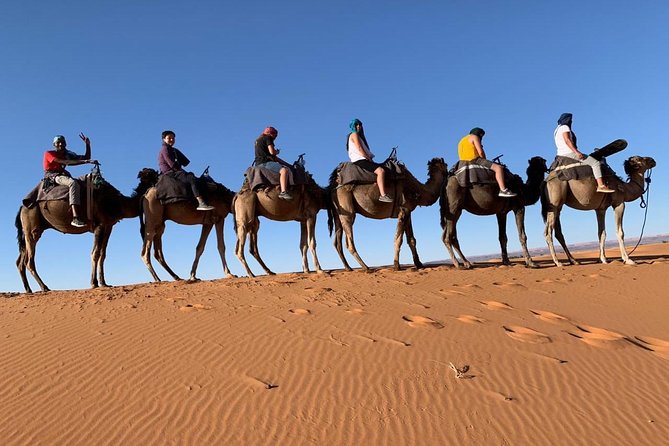 Luxury Group Tour in the Sahara (3 Days 2 Nights) - Tour Details