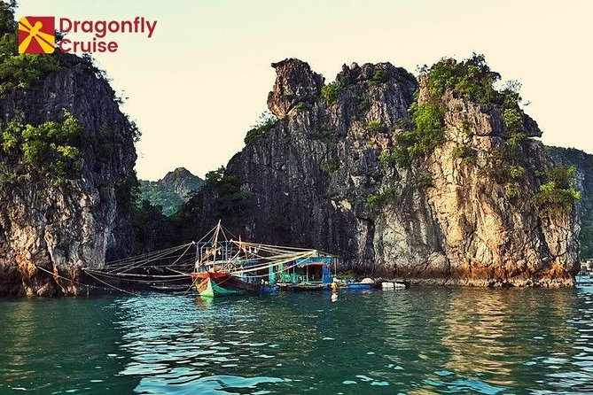 Luxury Halong Bay Day Tour With Expressway Transfer - Common Questions