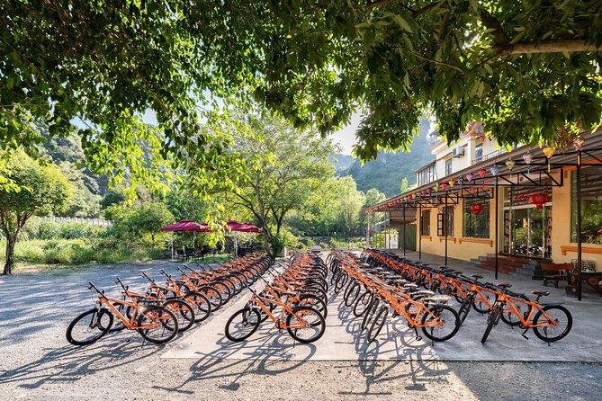 Luxury Hoa Lu Tam Coc Mua Cave Day Tour By Limousine Bus - Traveler Experiences