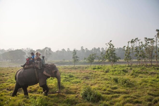 Luxury Holiday Tour - Essential Travel Tips