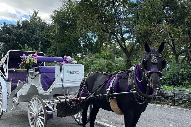 Luxury Horse and Carriage Tours in Central Park - Introducing the Luxury Horse and Carriage Tour in Central Park