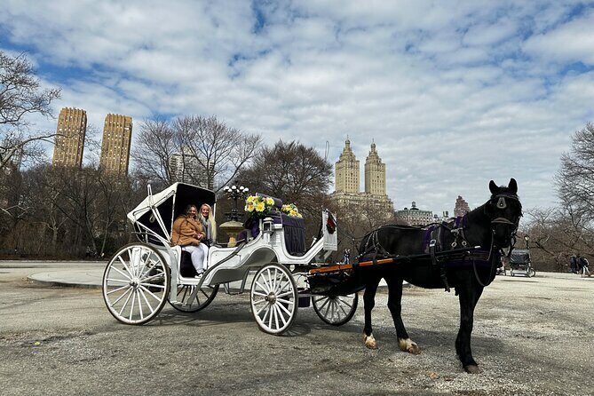 Luxury Horse and Carriage Tours in Central Park - Good To Know