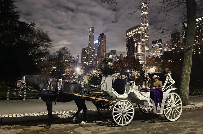 Luxury Horse and Carriage Tours in Central Park - Frequently Asked Questions