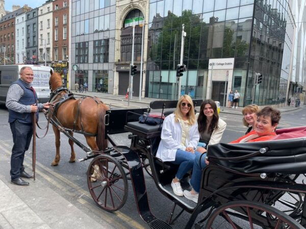 Luxury Horse Drawn Carriage Guinness Tour - Directions and Tips