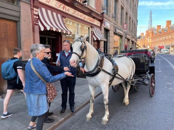 Luxury Horse Drawn Carriage Guinness Tour - The Sum Up
