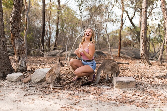 Luxury Hunter Valley Wildlife & Wine Tasting Tour From Sydney - Common Questions