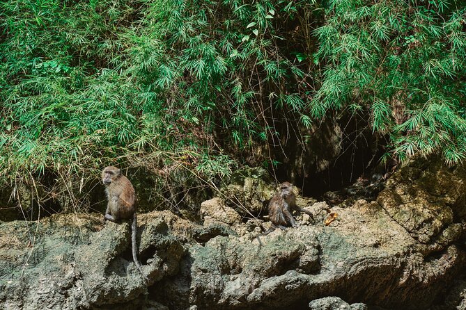 Luxury James Bond Island Day Tour by PHUKET PATRI TOUR - The Sum Up