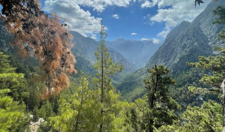 Luxury Jeep Safaris: White Mountains & Samaria Sightseeing - Activity Details