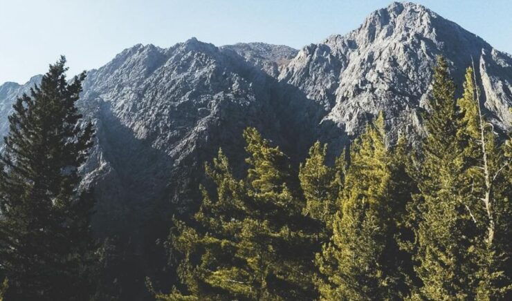 Luxury Jeep Safaris: White Mountains & Samaria Sightseeing - Experience