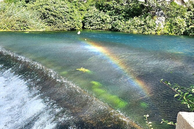 Luxury Konavle Gastro Tour - Customer Reviews