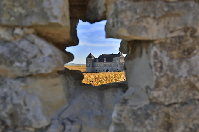 Luxury Luxury Wine Tour Experience - What to Expect