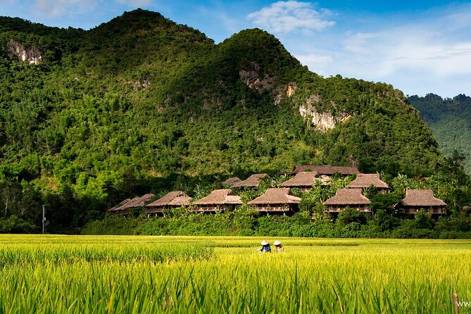 Luxury Mai Chau Full Day Tour Small Group -Departure From Hanoi - Customer Reviews and Testimonials