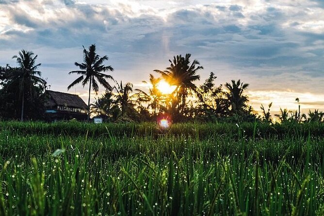 LUXURY Mekong 2 Days 1 Night SMALL GROUP Stay at Tiny Homestay With BBQ Dinner - Mekong River Exploration