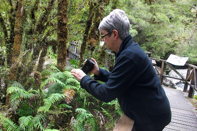 Luxury Milford Sound Coach and Scenic Cruise - Overview of the Full-Day Trip