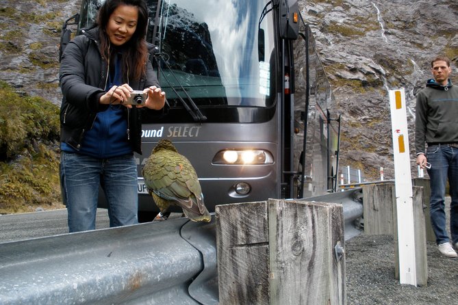 Luxury Milford Sound Coach and Scenic Cruise - Scenic Cruise to the Tasman Sea