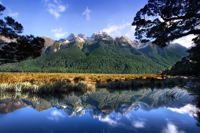 Luxury Milford Sound Coach and Scenic Cruise - Convenient Pickup and Drop-off Service