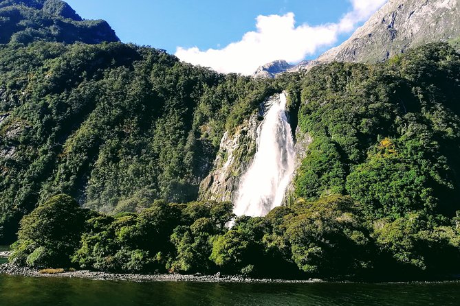 Luxury Milford Sound Coach and Scenic Cruise - Cancellation Policy and Refund Options