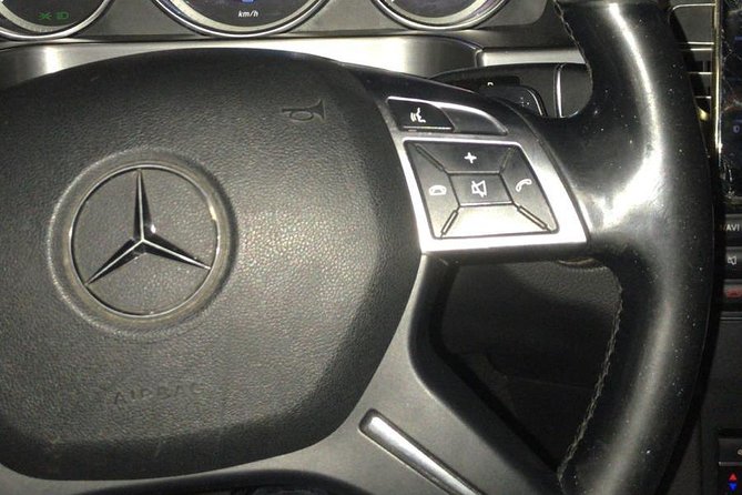 Luxury Minivan From Brussels Airport to the City of Brussels - Additional Information