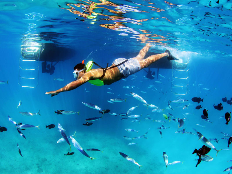 Luxury Morning Snorkel Cruise with Dolphin Watching in Oahu - At a glance