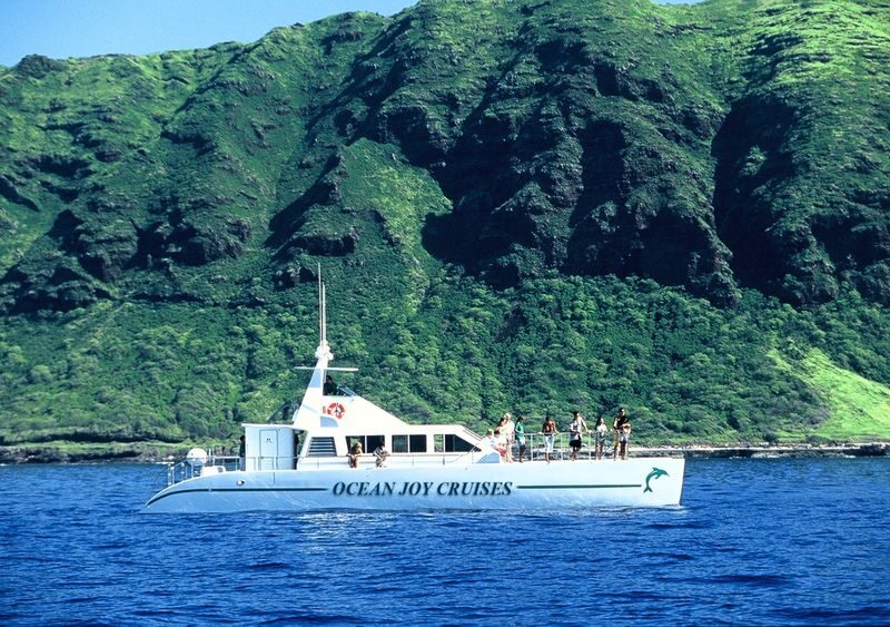 Luxury Morning Snorkel Cruise with Dolphin Watching in Oahu - Snorkeling at the reef