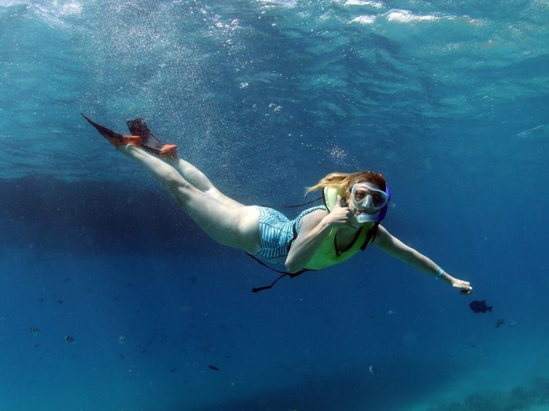 Luxury Morning Snorkel Cruise with Dolphin Watching in Oahu - Who will enjoy this morning best