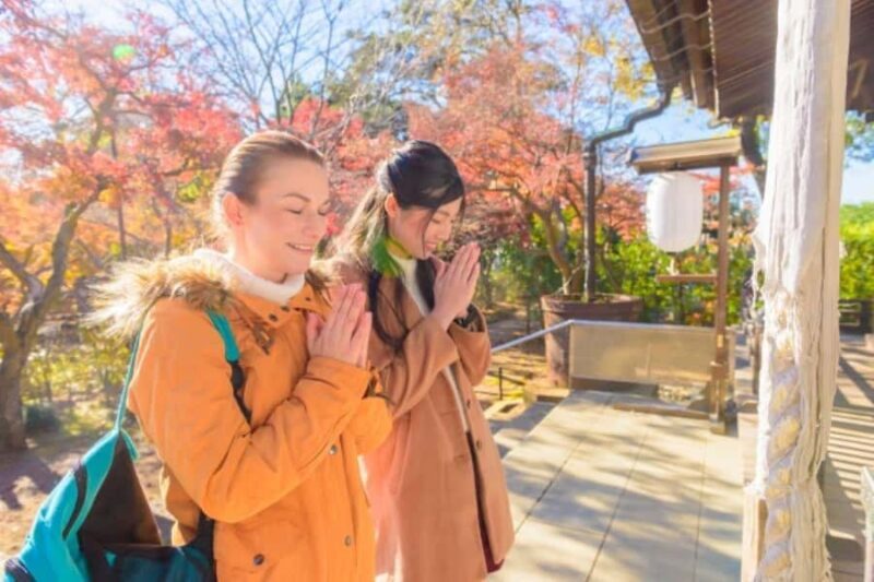 Luxury Mt. Fuji Day Trip by Shinkansen + Private Car - Good To Know