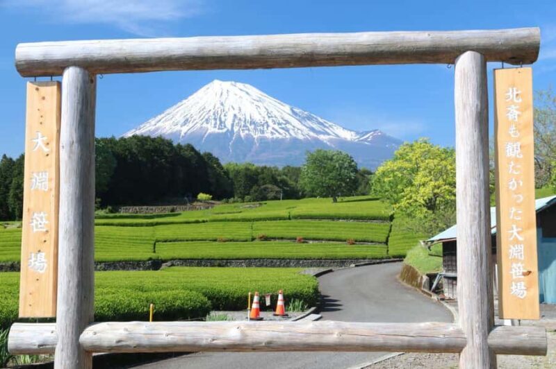 Luxury Mt. Fuji Day Trip by Shinkansen + Private Car - The Experience in Detail