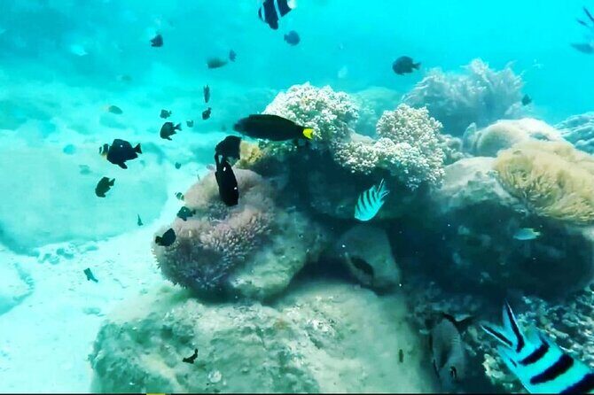 Luxury Nha Trang Islands Discovery - Final Thoughts: Is This Tour Worth It?