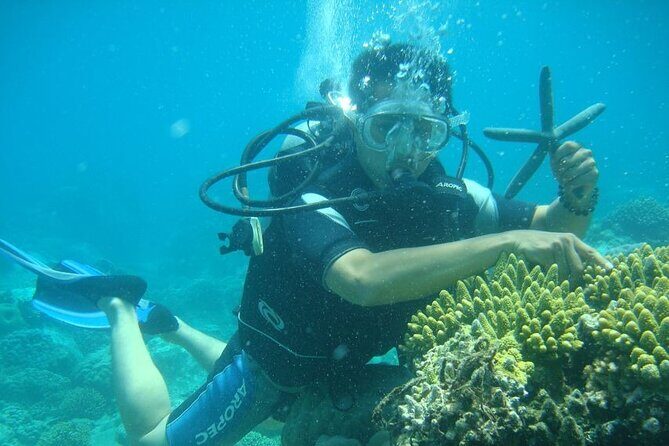 Luxury Nha Trang Islands Discovery - Good To Know