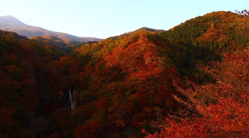 Luxury Nikko Gateway;Private Guided tour - FAQs