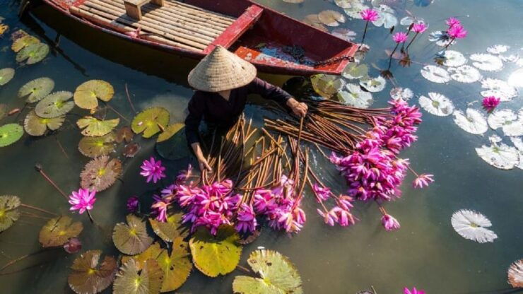 Luxury Ninh Binh Tour: Explore Hoa Lu, Trang An & Hang Mua. - Good To Know