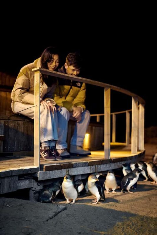 Luxury Phillip Island Tour for Families & Explorers 10 Max - Final Thoughts