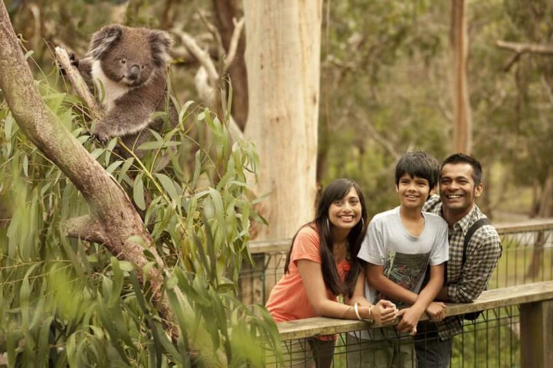 Luxury Phillip Island Tour for Families & Explorers 10 Max - Frequently Asked Questions