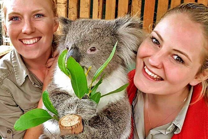 Luxury Phillip Island Tour for Families & Explorers [up to 10Pax] - Flexible Stops: Beaches or Chocolate?