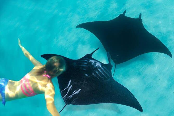 Luxury Phinisi: 3D2N Elrora Phinisi Liveaboard from Labuan Bajo - Booking advice and final call