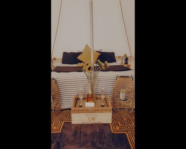 Luxury Picnic Experience - Common Questions