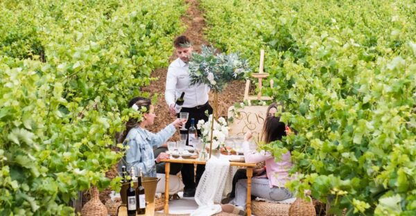 Luxury Picnic Gathering & Wine Tasting at Kerateas Vineyard - Booking Information