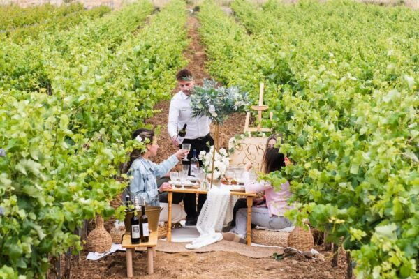 Luxury Picnic Gathering & Wine Tasting at Kerateas Vineyard - Frequently Asked Questions