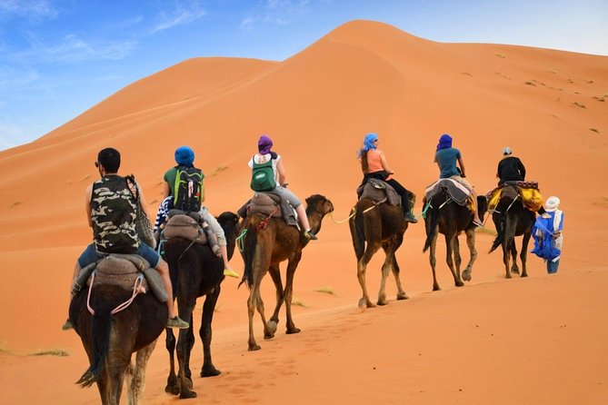 Luxury Private 4-Day Camel Trekking and Kasbah Trail From Marrakech - Accommodation and Amenities