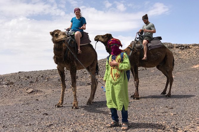 Luxury Private 4-Day Camel Trekking and Kasbah Trail From Marrakech - The Sum Up