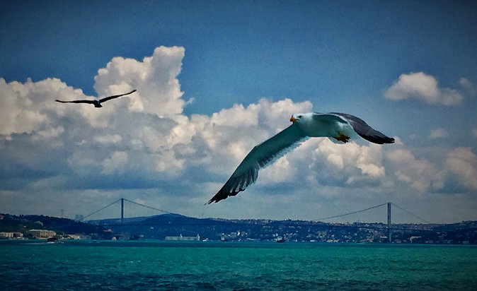 Luxury Private and Guided Istanbul Food Tour - Traveler Photos