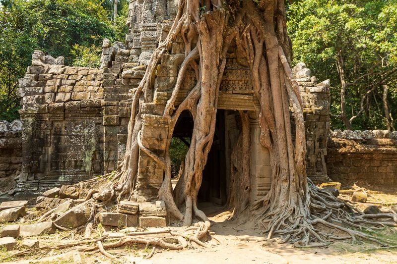 Luxury Private Angkor Wat Tour with German, English or Other Guide - Booking details worth checking