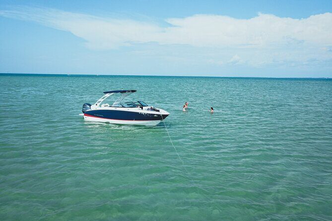 Luxury Private Boat Adventure in Tampa Bay - Authentic Insights from Reviews
