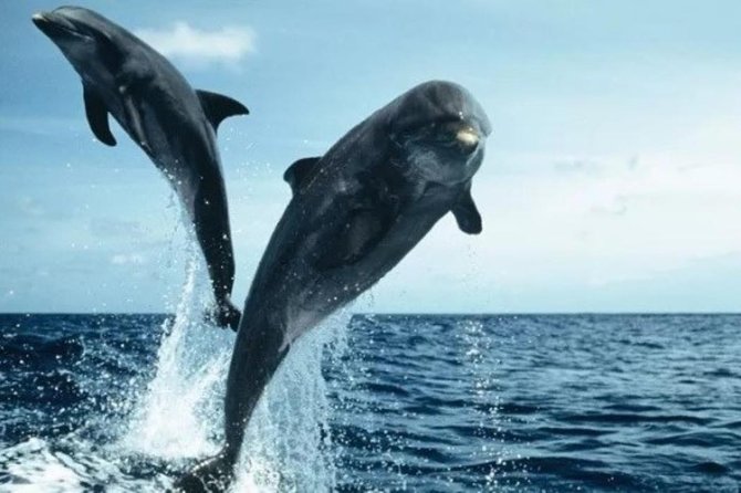 Luxury Private Boat Charter - Safety and Accessibility