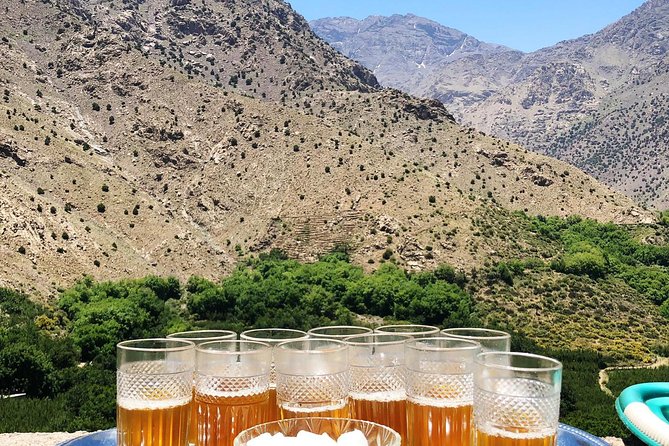 Luxury Private Day Trip - Atlas Mountains, Agafay Desert & Camels - Sample Menu