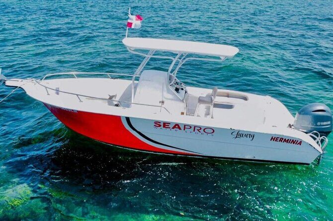 Luxury Private Family Sailing Tour in Punta Cana - The Experience in Detail: What You Can Expect